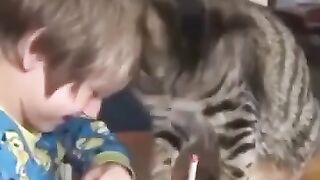 Котик 4
