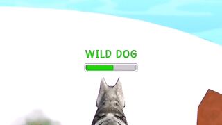 Doggy run gameplay walkthrough