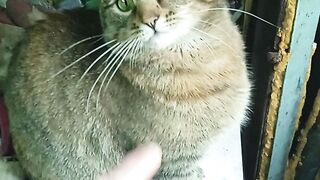 Моё ПЕРВОЕ Любительское ВИДЕО ОЦЕНИТЕ МОЙ ВИДОС