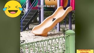 Про Смешных до слез кошек | sticky videos about funny cats