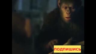 Юморной прикол про подарок к 8 марта