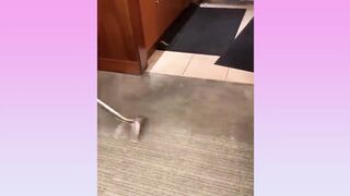 Satisfying Video with relaxing