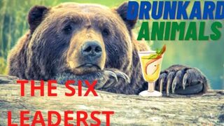 ANIMAL ALCOHOLICS SIX LEADERS