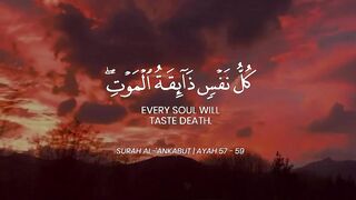 BESHAK ❤ | KULLU NAFSIN ZAIKATULL MAUT | TELAWAT E QURAN ISLAMIC STATUS |
