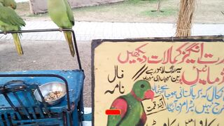 Pakistani Culture|Racecourse mela lahore