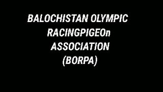 Borpa racing