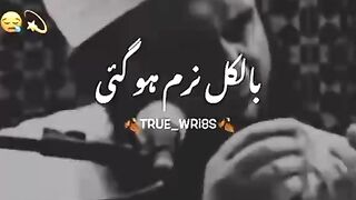 Best beean