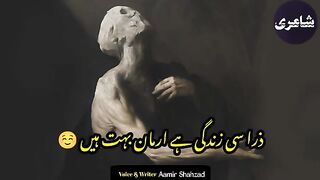 Zara_si_zindagi_ hai_ arman_ boht_ hain_