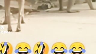 Yah khatarnak ilaka hai bhai