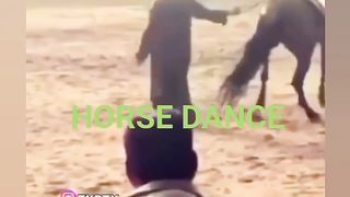 Funny ???????? video