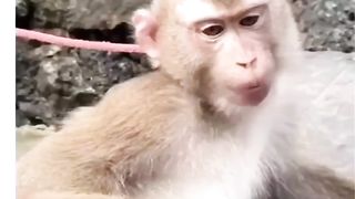 Funny ???? ???? ????   fanny  video