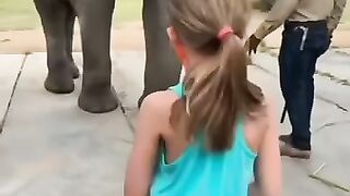 Genius and clever animal subscribe my channel, more big videos
