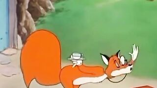 Funny cartoon video