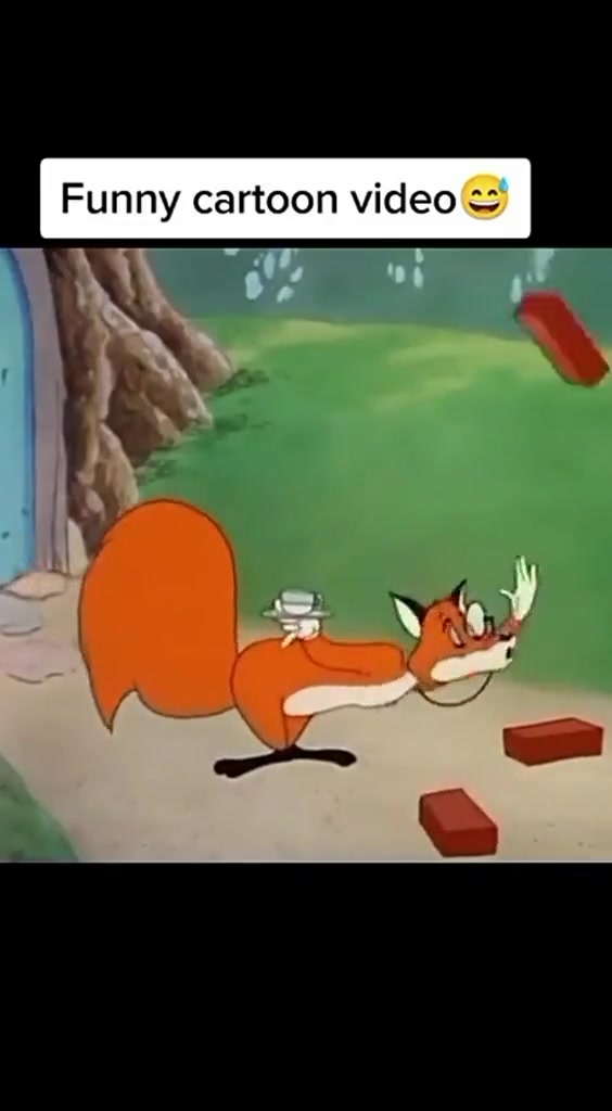 Funny cartoon video Funny cartoon video
