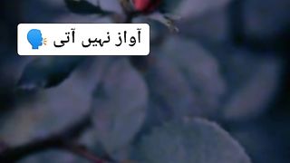 Urdu TikTok shayari