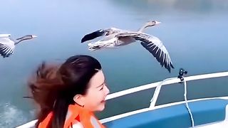 Amazing video|waow subhanalla|
