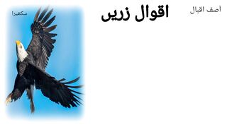 Aqwal e zareen