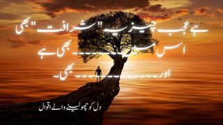 Hai ajab cheez ye sharafat bhi | It is a wonderful thing, this nobility too | Zaidi voice |