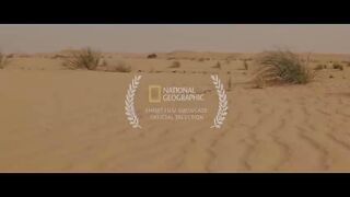 This Sahara Railway Is One of the Most Extreme in the World | Short Film Showcase