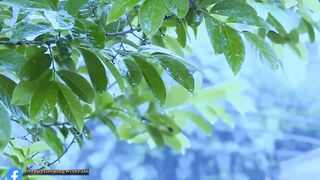 ???? Heavy Rain At Evening In Old Parking Lot To Sleep Fast & Stop Insomnia. Block Noises-10