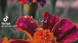 Beautiful Status