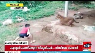 Dog and Boy : Funny video