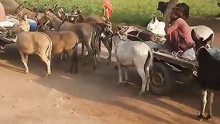 Best Funny video # latest fun 2023