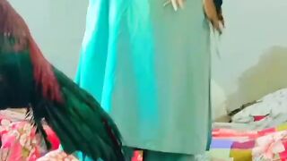 Aseel murga