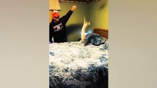 Funny Animal Videos 2023 ???? - Funniest Dogs And Cats  ????