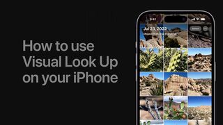 How to use Visual Look Up on your iPhone | Apple Support