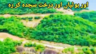Islamic video status