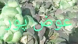 New good movie