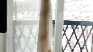 My house good