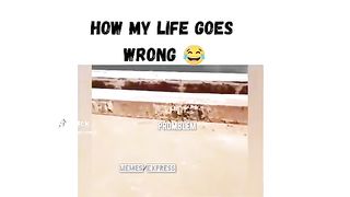 Funny ????????