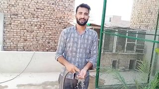Nest Material Changed--Birds Aviary by Shehr main Diha