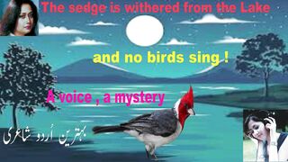 urdu poetry