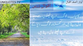 Aqwal e zareen
