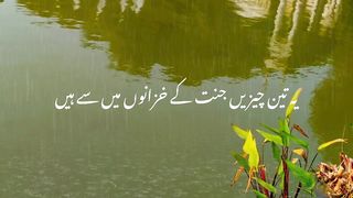 Motivational quotes about life