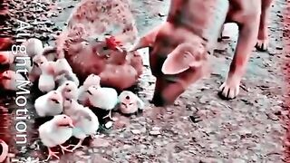Kese kar Lete hy ye