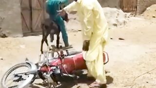 Petrol increase