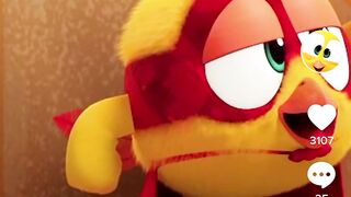 Bird video