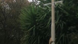 Amazing monkeys ????????