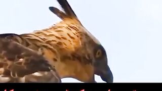 To save future fight today