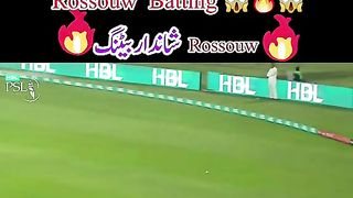 Cricket fans