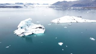 "The Secret Life of Polar Bears: A Window into the Arctic"