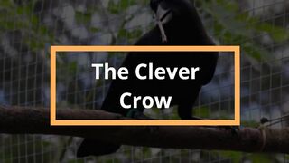 The Clever Crow: II comic stories in English with pictures II comedy stories in English with moral