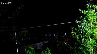Relaxing with Nature Rain in Night