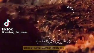 Quran quotes
