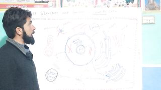 Cell structure and function of eukaryotic cell