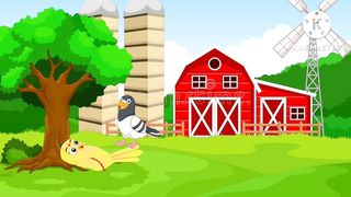 Birds cartoon story